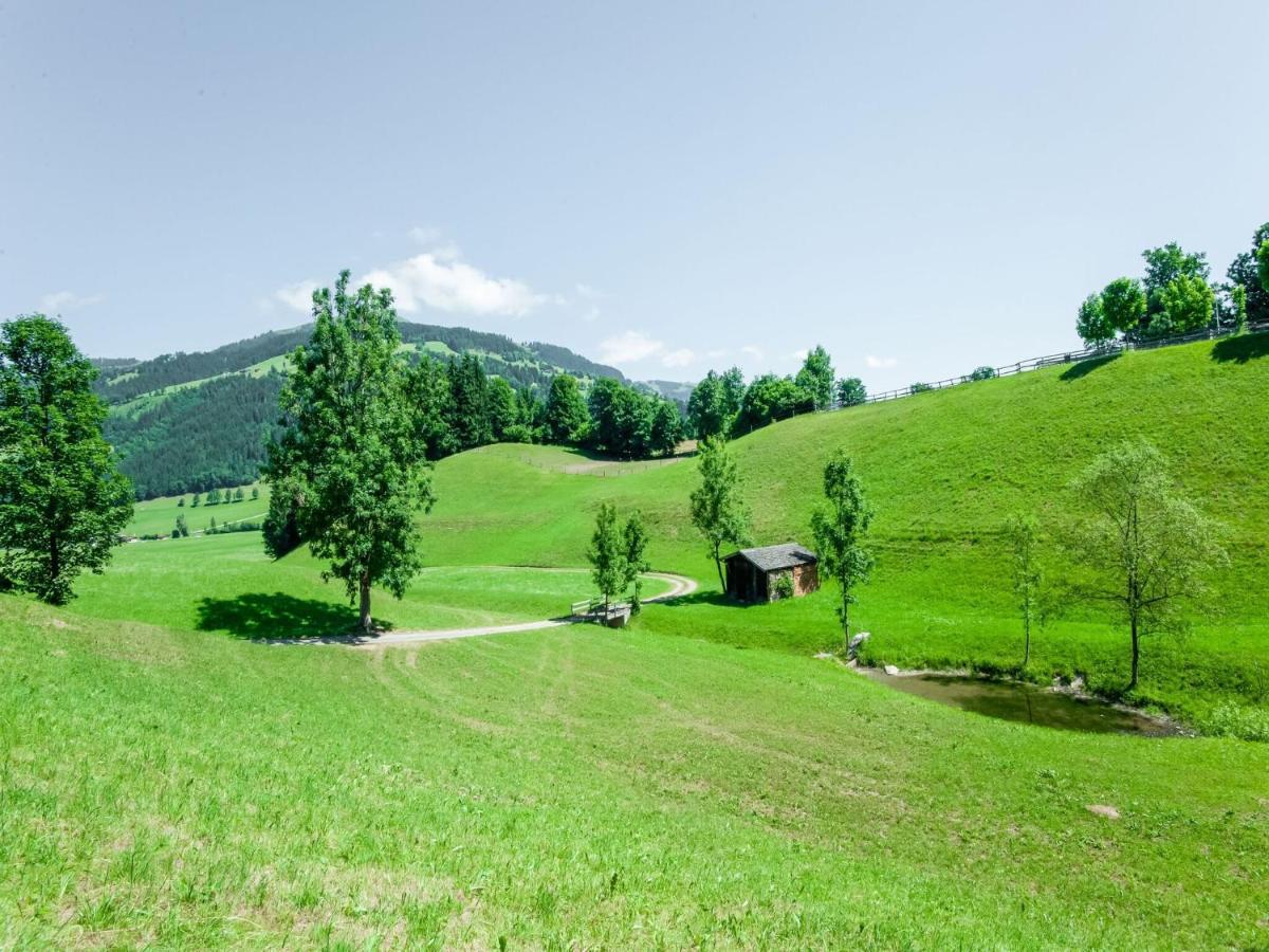 Cosy Flat In Westendorf In Tyrol Holzham Exterior foto